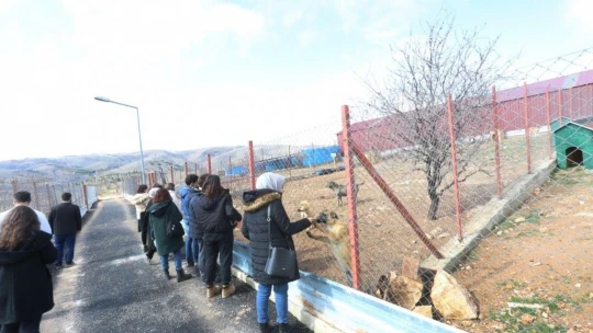 Veteriner Fakültesi öğrencilerinden Elazığ Belediyesi Hayvan Hastanesine tam not