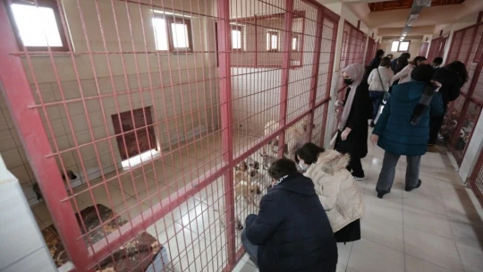 Veteriner Fakültesi öğrencilerinden Elazığ Belediyesi Hayvan Hastanesine tam not