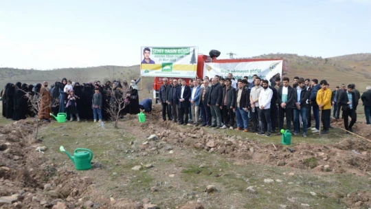 Hüda Par Elazığ İl Başkanlığı Şehit Yasin Börü Anısına Fidan Dikim Etkinliği Gerçekleştirdi