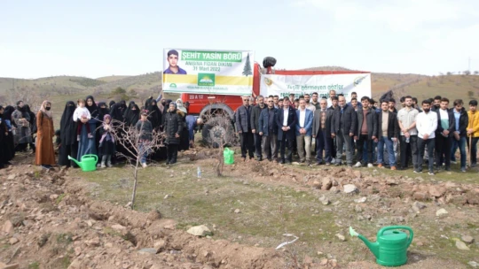 Hüda Par Elazığ İl Başkanlığı Şehit Yasin Börü Anısına Fidan Dikim Etkinliği Gerçekleştirdi