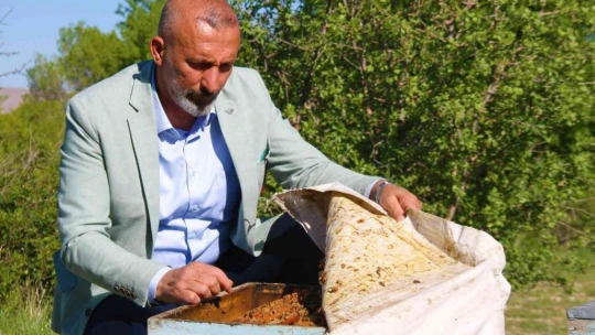 Yağışlar arıcıları da sevindirdi, rekoltede yükseliş bekleniyor