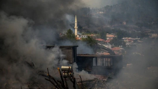 Manavgat'ta yanan 60 bin hektar ormanlık alanda 1 milyar TL'lik zarar oluştu