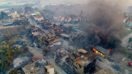 Manavgat'ta yanan 60 bin hektar ormanlık alanda 1 milyar TL'lik zarar oluştu