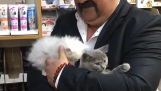 Yavru kedi ile müşterinin sevimli halleri gülümsetti