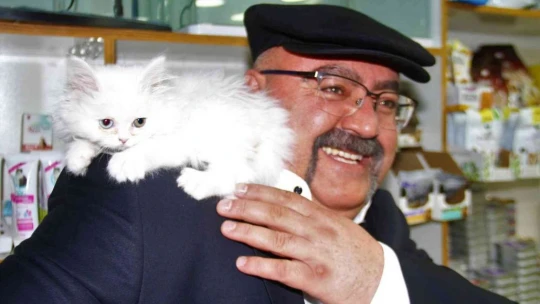Yavru kediyle görüntüleri gülümsetmişti, her gün gidip kediyle vakit geçiriyor