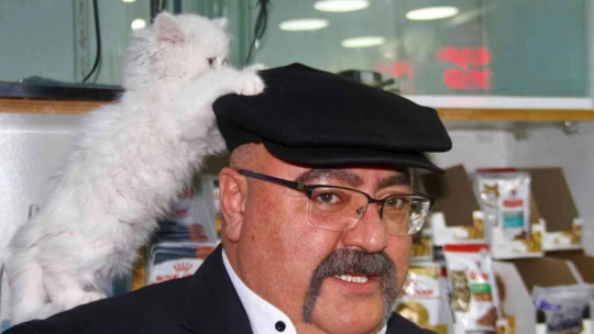 Yavru kediyle görüntüleri gülümsetmişti, her gün gidip kediyle vakit geçiriyor