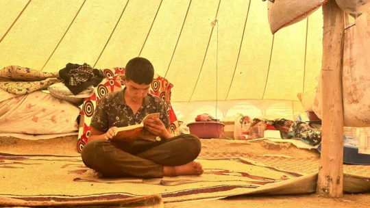 Yaylada çobanlık yapan Muhammet, LGS'de Türkiye ikincisi oldu