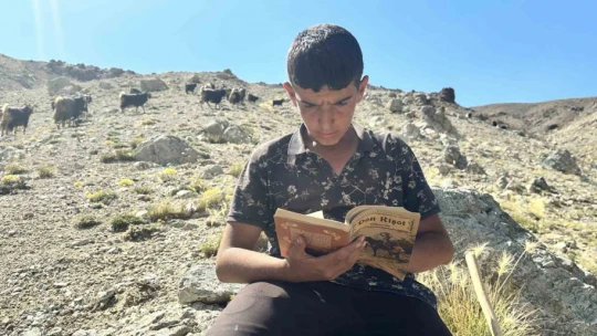 Yaylada çobanlık yapan Muhammet, LGS'de Türkiye ikincisi oldu