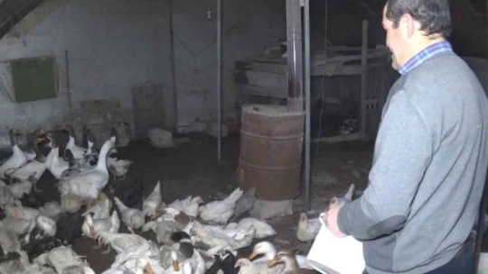 Yolda bulduğu ve 'Mamoş' ismini verdiği kazı, sahibine teslim etti