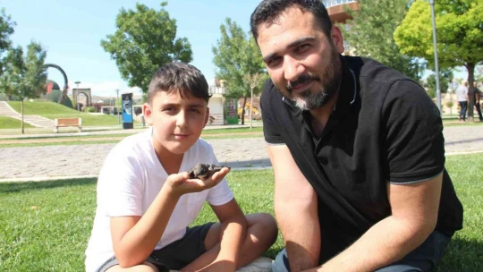 Yolda buldukları yaralı Ebabil kuşunu tedavi edip HAYDİ ekiplerine teslim ettiler