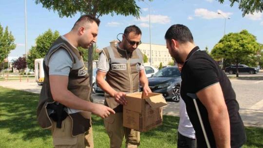 Yolda buldukları yaralı Ebabil kuşunu tedavi edip HAYDİ ekiplerine teslim ettiler