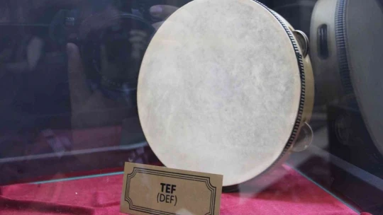 Ziyaretçilerini mest eden Harput Musiki Müzesi, yoğun ilgi görüyor
