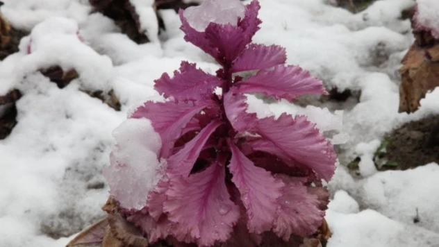 Elazığ'da Kış Görüntüleri