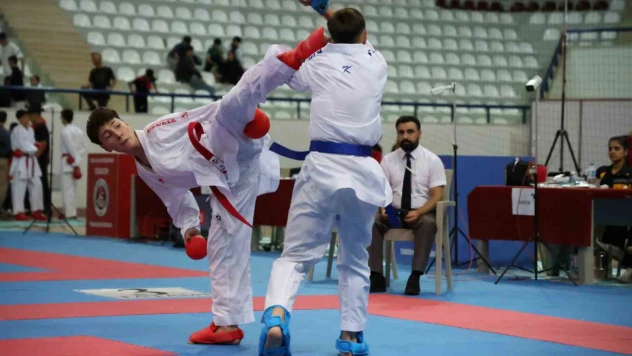 51 İlden bin 200 sporcu Elazığ'da karate için buluştu