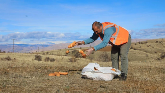 Elazığ Belediyesi Doğaya Yem Bıraktı