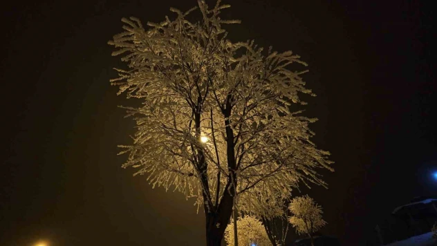 Elazığ'da ağaçlar kırağı tuttu
