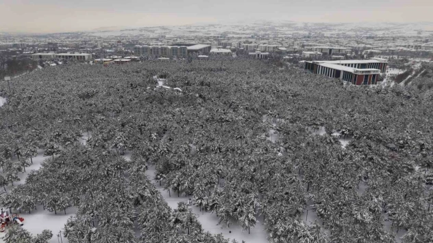 Elazığ'da beton yığınlarının arasındaki beyaz vaha mest etti