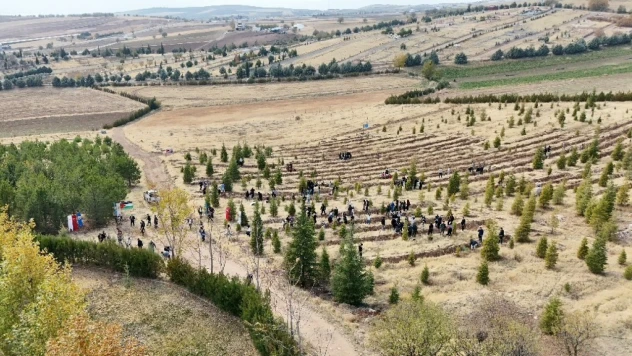 Elazığ'da Doğu Türkistan ve Filistin için fidan diktiler