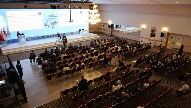 Elazığ'da göz sağlığı sempozyumu: Türkiye'nin dört bir yanından 300 hekim katıldı