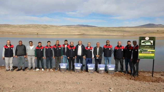 Elazığ'da Su Kaynakları Balıklandırma Projesi sürüyor