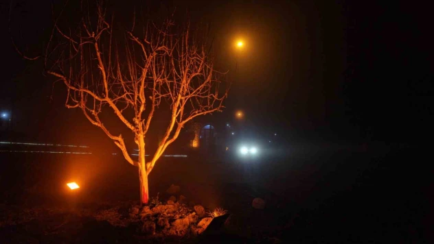 Elazığ'da yoğun sis: 4 bin yıllık Harput Mahallesi'nde göz gözü görmedi