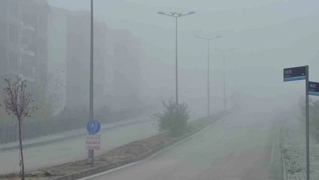 Elazığ'da yoğun sis, bir mahalle adeta kayboldu