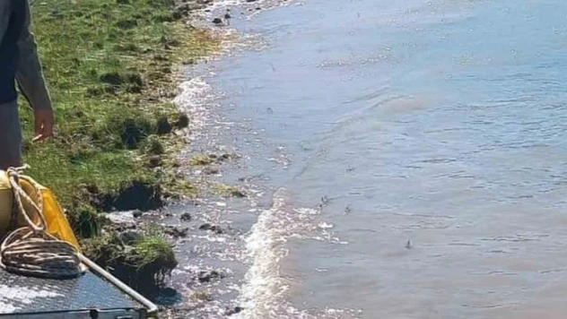 Karakoçan'da göletlere yavru balıklar bırakıldı