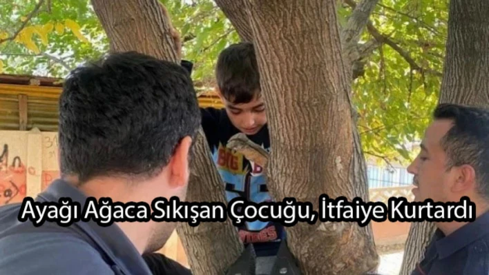 Ayağı Ağaca Sıkışan Çocuğu, İtfaiye Kurtardı