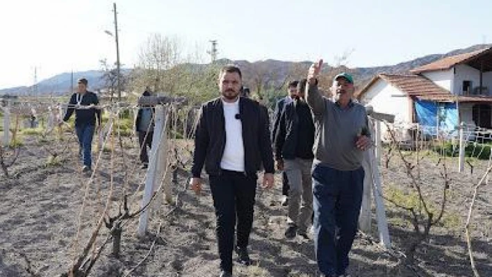 Başkan Bal, Zirai Dondan Etkilenen Üzüm Üreticilerini Ziyaret Etti