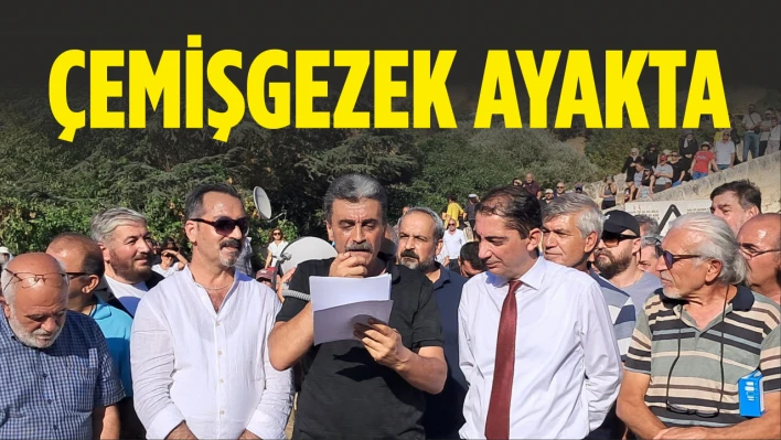 Çemişgezek Ayakta