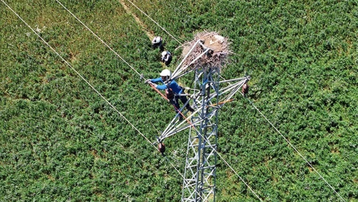 Doğu Anadolu'da hem leylekler hem de enerji güvende