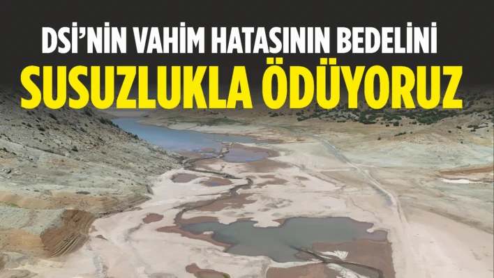 Dsi'nin Vahim Hatasının Bedelini Susuzlukla Ödüyoruz