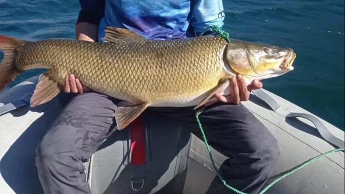 Elazığ'da amatör balıkçı 15 kiloluk dev turna yakaladı