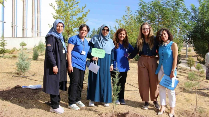 Elazığ'da fidan dikimi yapıldı