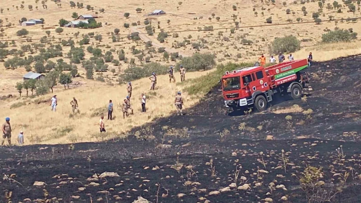 Elazığ'da otluk alanda çıkan yangın kontrol altına alındı