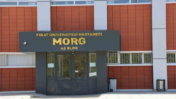 Elazığ'da taksici, araç içerisinde kuzeni tarafından vurularak öldürüldü