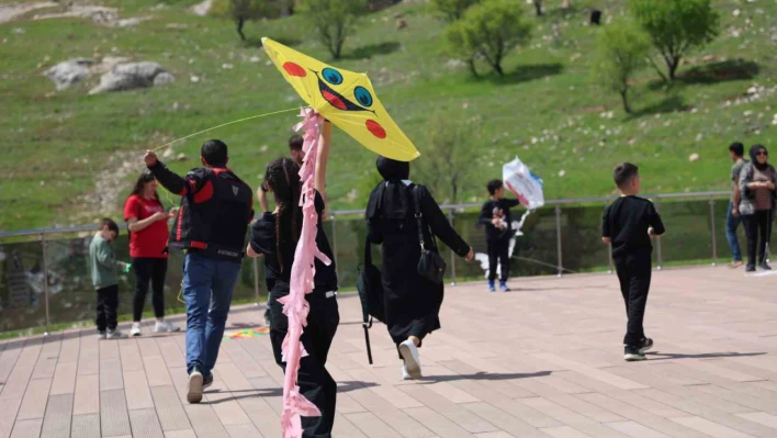 Elazığ'da uçurtma şenliğinde renkli görüntüler oluştu