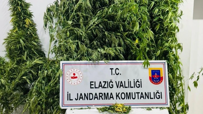 Elazığ'da uyuşturucuyla mücadele
