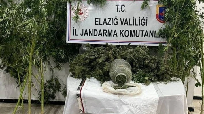 Elazığ'da uyuşturucuyla mücadele: 1 tutuklama