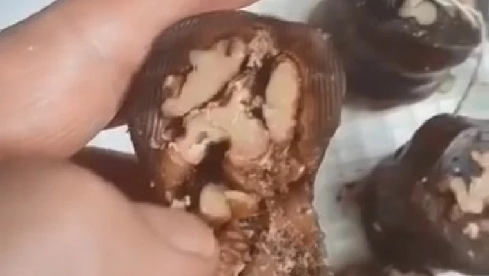 Elazığ'da vatandaşın aldığı orcikten böcek çıktı