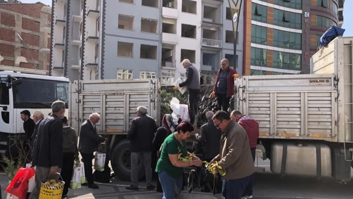 Elazığ'da Vatandaşlara Ücretiz Fidan Dağıtıldı