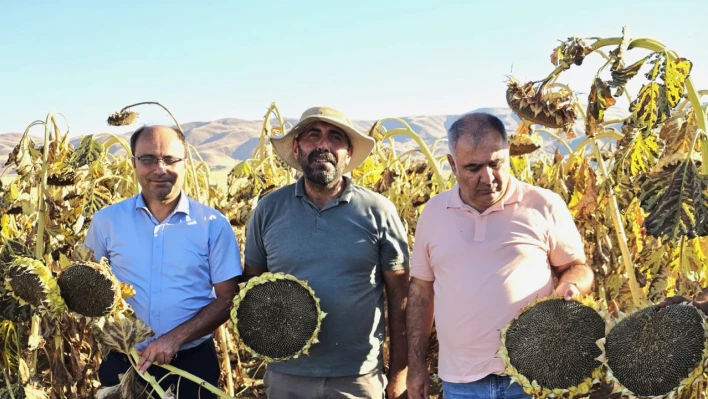 Elazığ İl Tarım Müdürü Sadettin Taşkesen, Karakoçan'da Mısır Hasadı Yapan Çiftçiyi Tarlada Ziyaret Etti