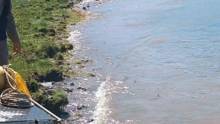 Karakoçan'da göletlere yavru balıklar bırakıldı
