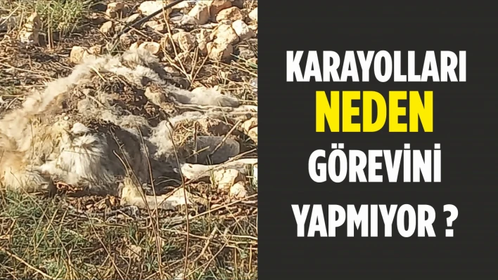 Karayolları Neden Görevini Yapmıyor?