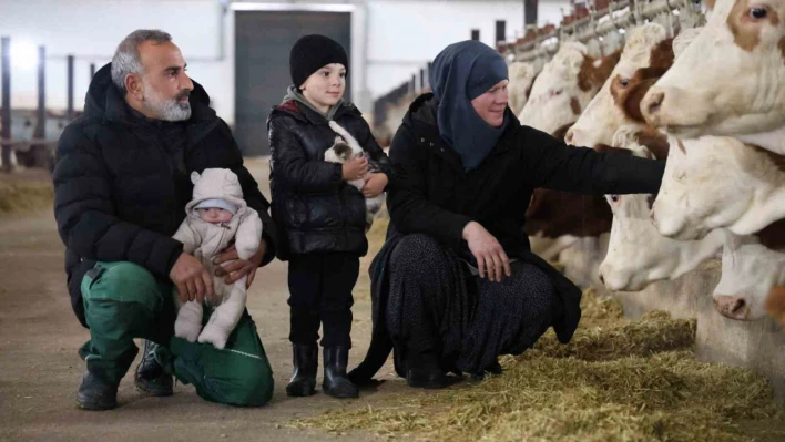 TKDK'dan aldığı destekle ülkesine dönüp çiftlik kurdu, 432 ton süt üretiyor