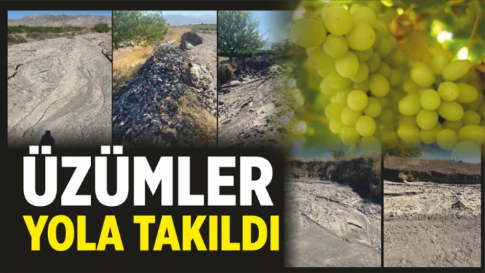 Üzümler, Yola Takıldı