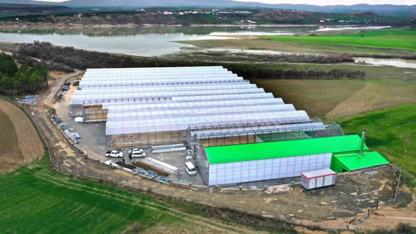 Elazığ'da jeotermal sera sahasının ilk etap çalışmaları tamamlandı