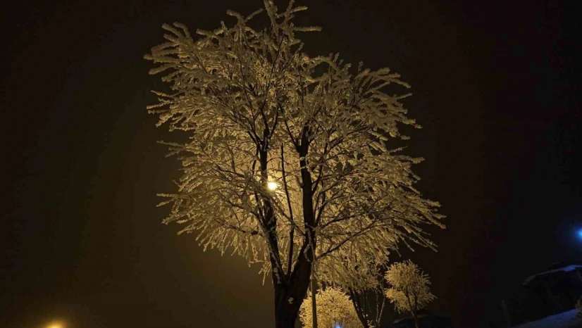 Elazığ'da ağaçlar kırağı tuttu