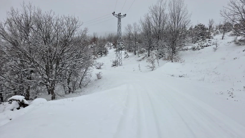 Elazığ'da kar başladı, 311  köy yolu ulaşıma kapandı