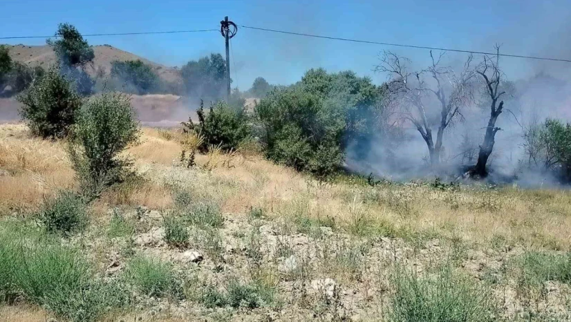 Elazığ'da korkutan yangın: Onlarca dönümlük alan kül oldu
